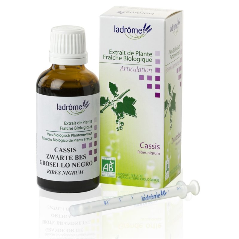 EXTRACTO GROSELLERO NEGRO ECO 50 ML DE LA DROME PROVENZALE