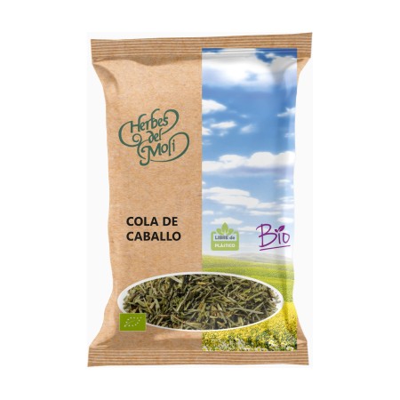 COLA DE CABALLO planta...