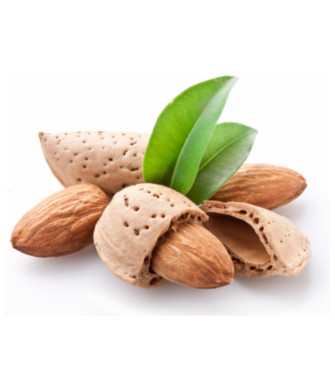 Dispronat presenta dos novedades de su marca Biogut: Mix de semillas y nueces Combigran